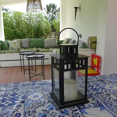 Quinta Da Alentegria - 4 Cottages Met Lounge En Verwarmd Zwembad Van April Tot Eind September! アルカセル・ド・サル エクステリア 写真